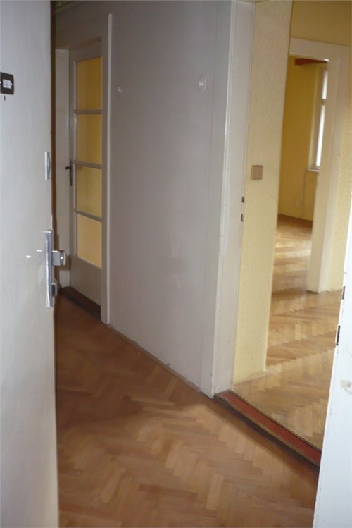 volný 002.jpg
