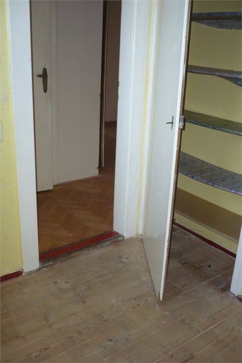 volný 009.jpg