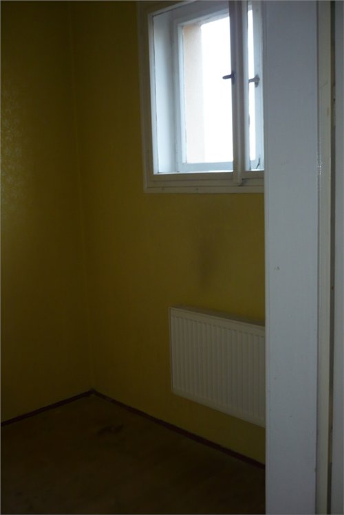volný 010.jpg