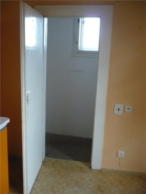 volný 014.jpg