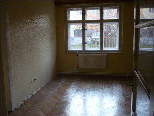 volný 017.jpg