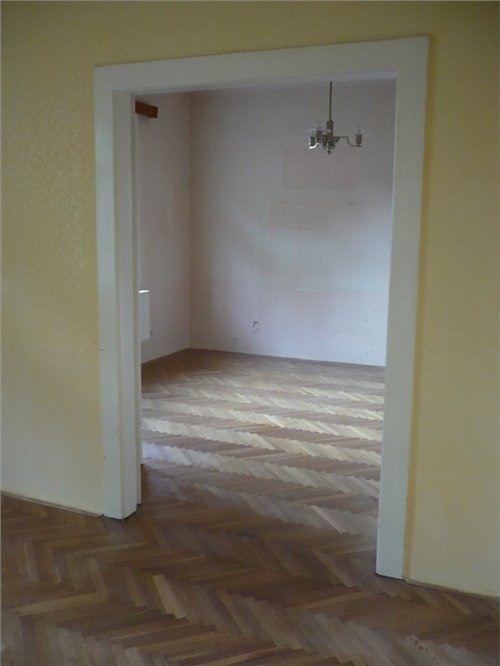 volný 019.jpg
