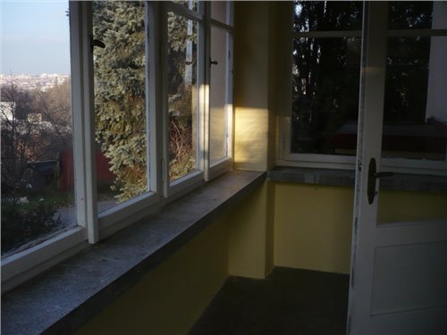 volný 020.jpg