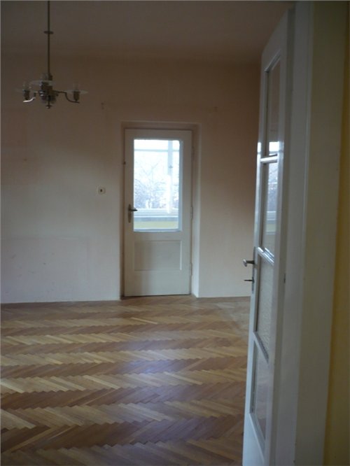 volný 022.jpg
