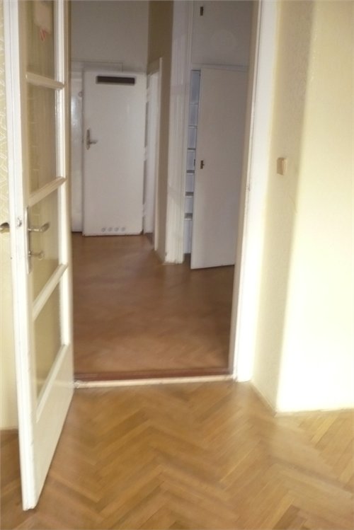volný 025.jpg