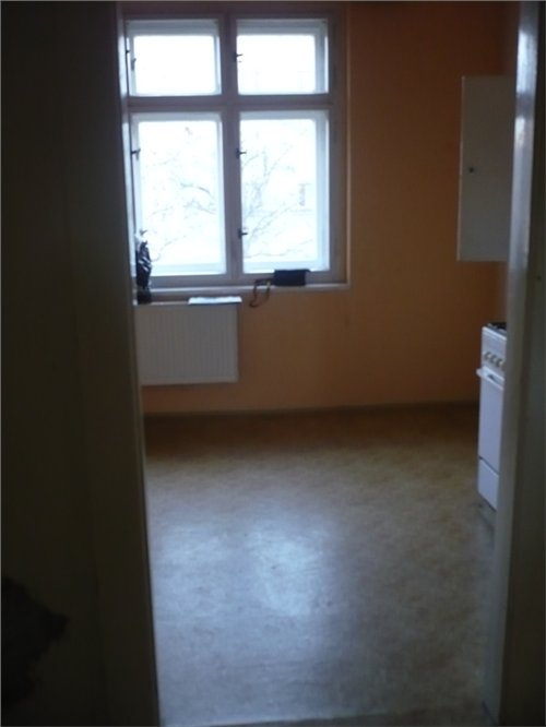 volný 034.jpg