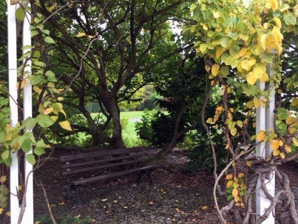 Do Průhonic za ovocnými stromy  002.jpg