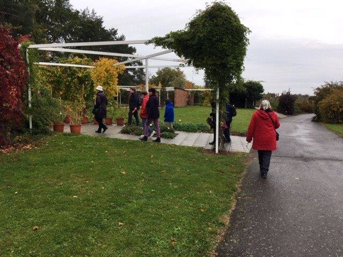 Do Průhonic za ovocnými stromy  004.jpg