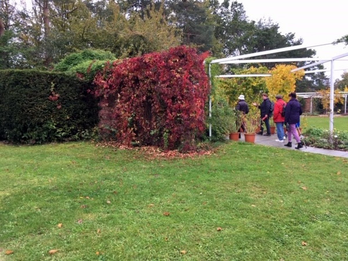 Do Průhonic za ovocnými stromy  005.jpg