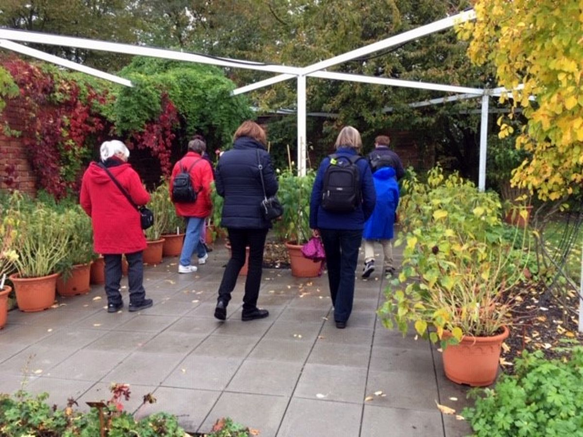 Do Průhonic za ovocnými stromy  006.jpg