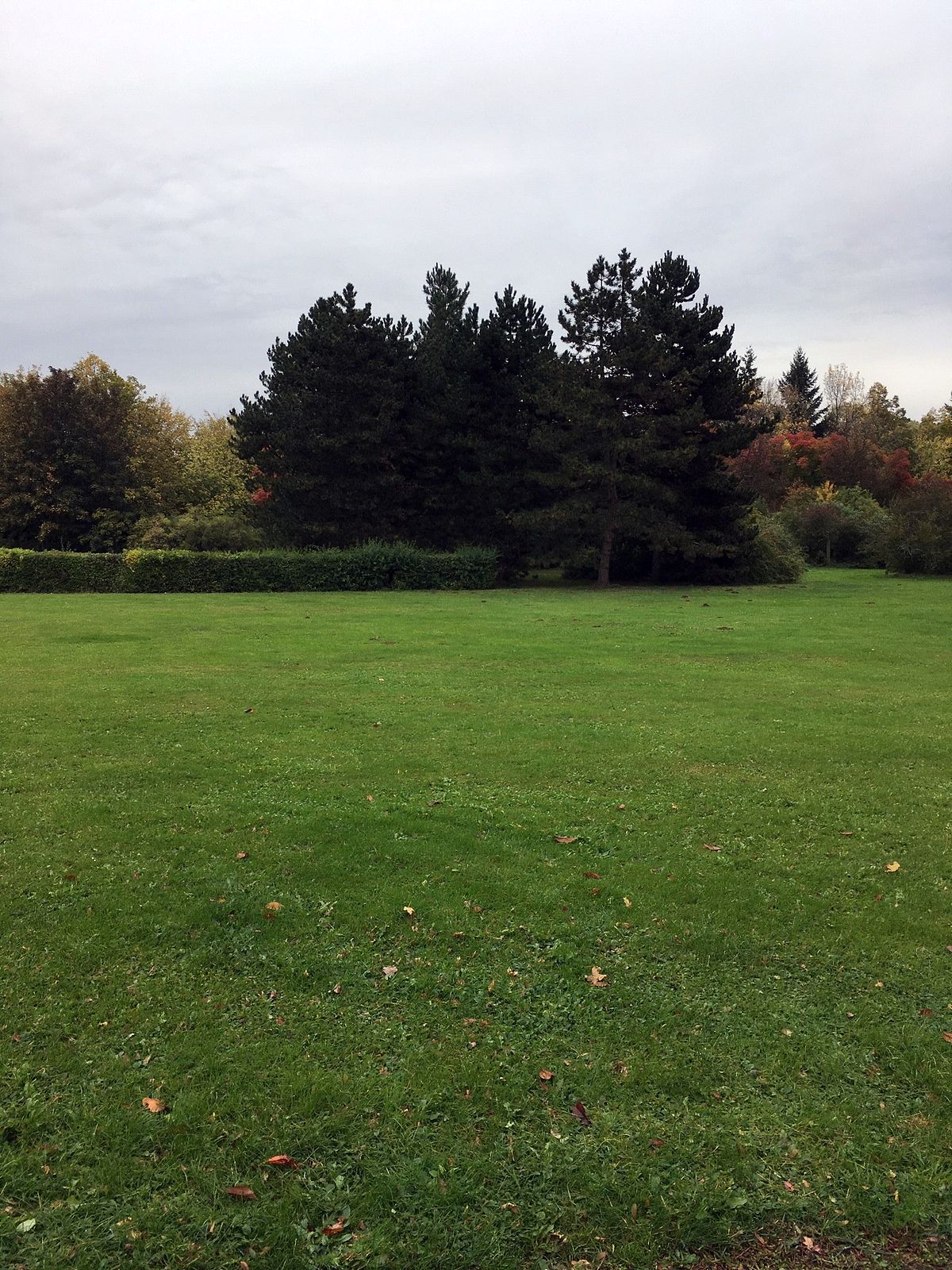 Do Průhonic za ovocnými stromy  009.jpg