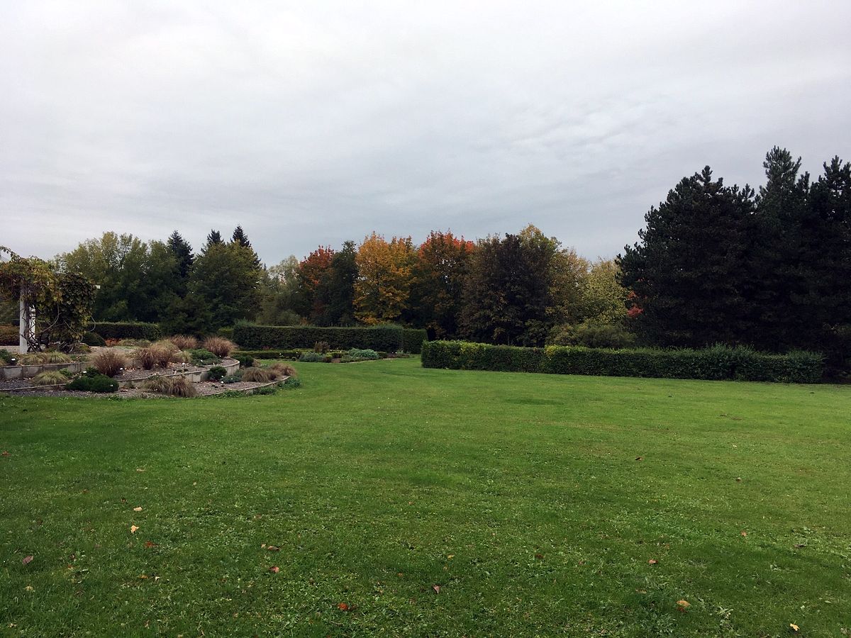 Do Průhonic za ovocnými stromy  010.jpg