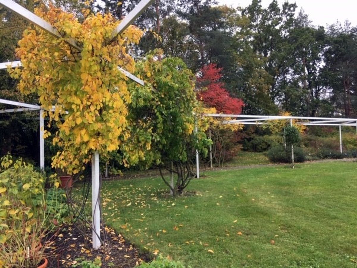 Do Průhonic za ovocnými stromy  012.jpg