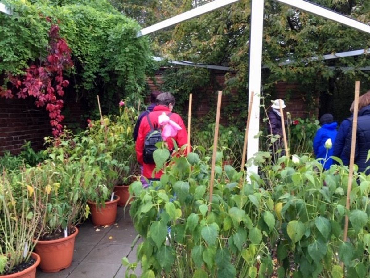 Do Průhonic za ovocnými stromy  013.jpg