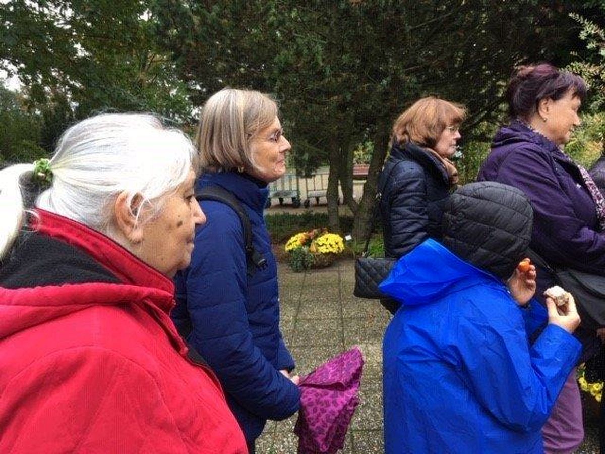 Do Průhonic za ovocnými stromy  016.jpg