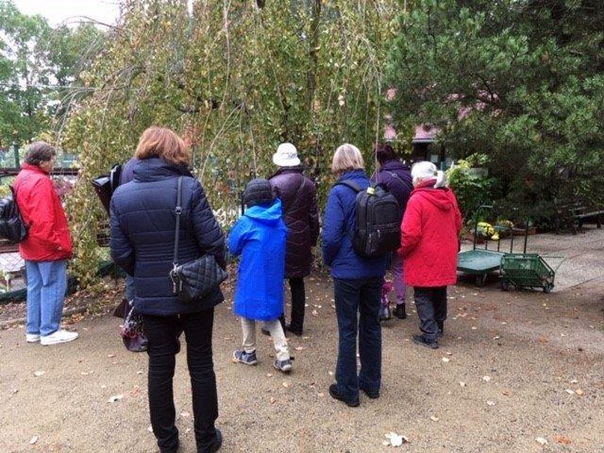 Do Průhonic za ovocnými stromy  017.jpg