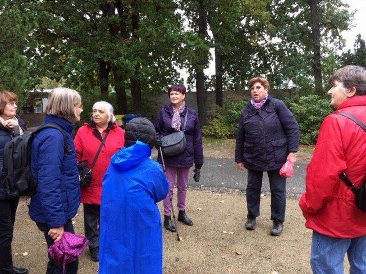 Do Průhonic za ovocnými stromy  018.jpg