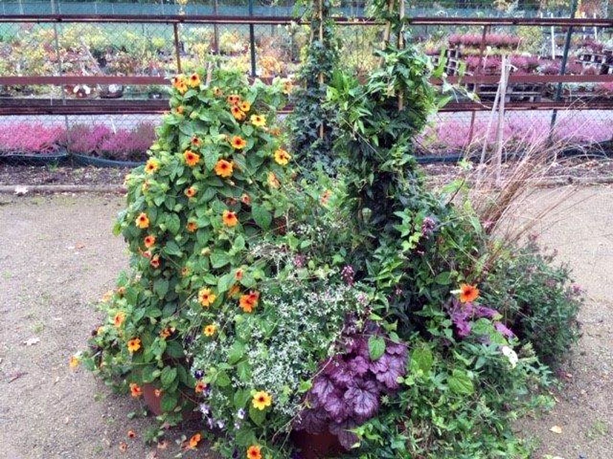 Do Průhonic za ovocnými stromy  019.jpg