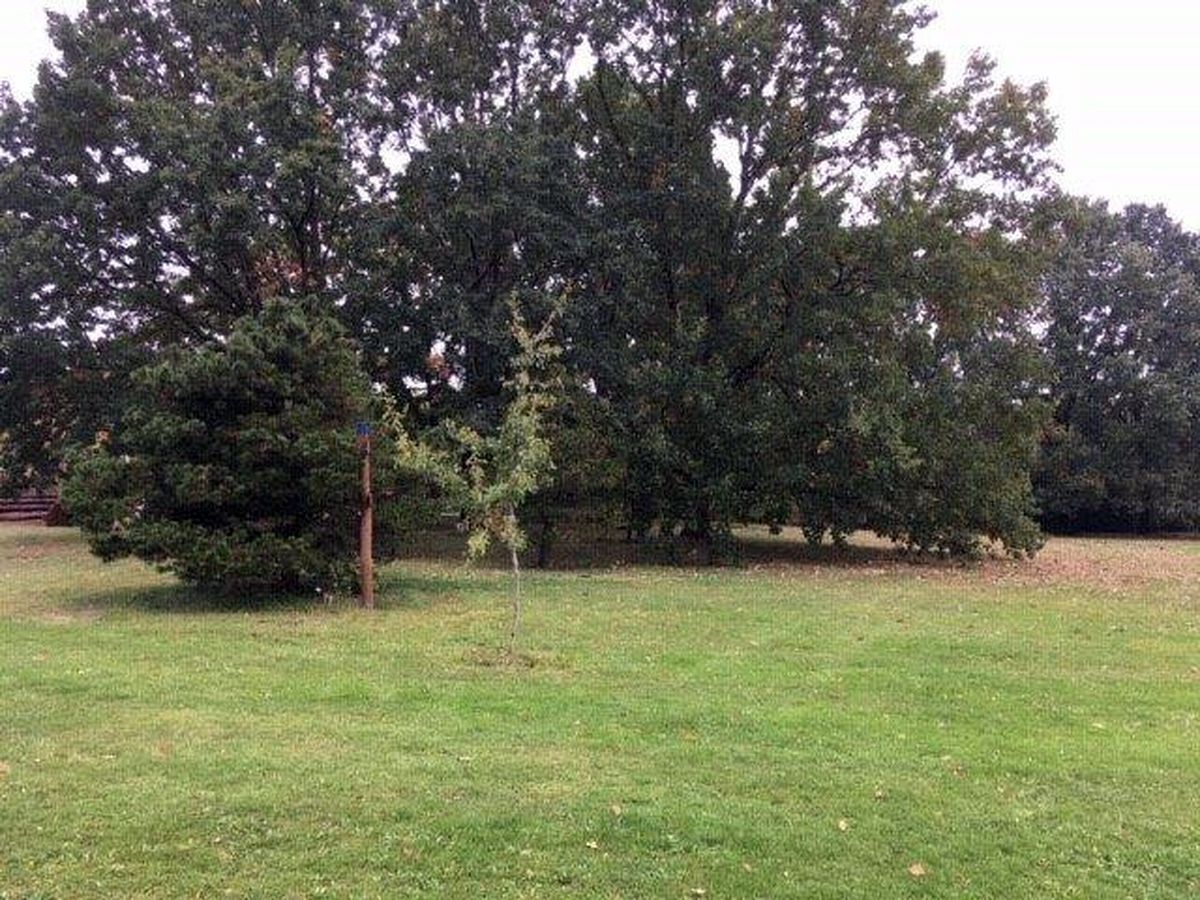 Do Průhonic za ovocnými stromy  020.jpg