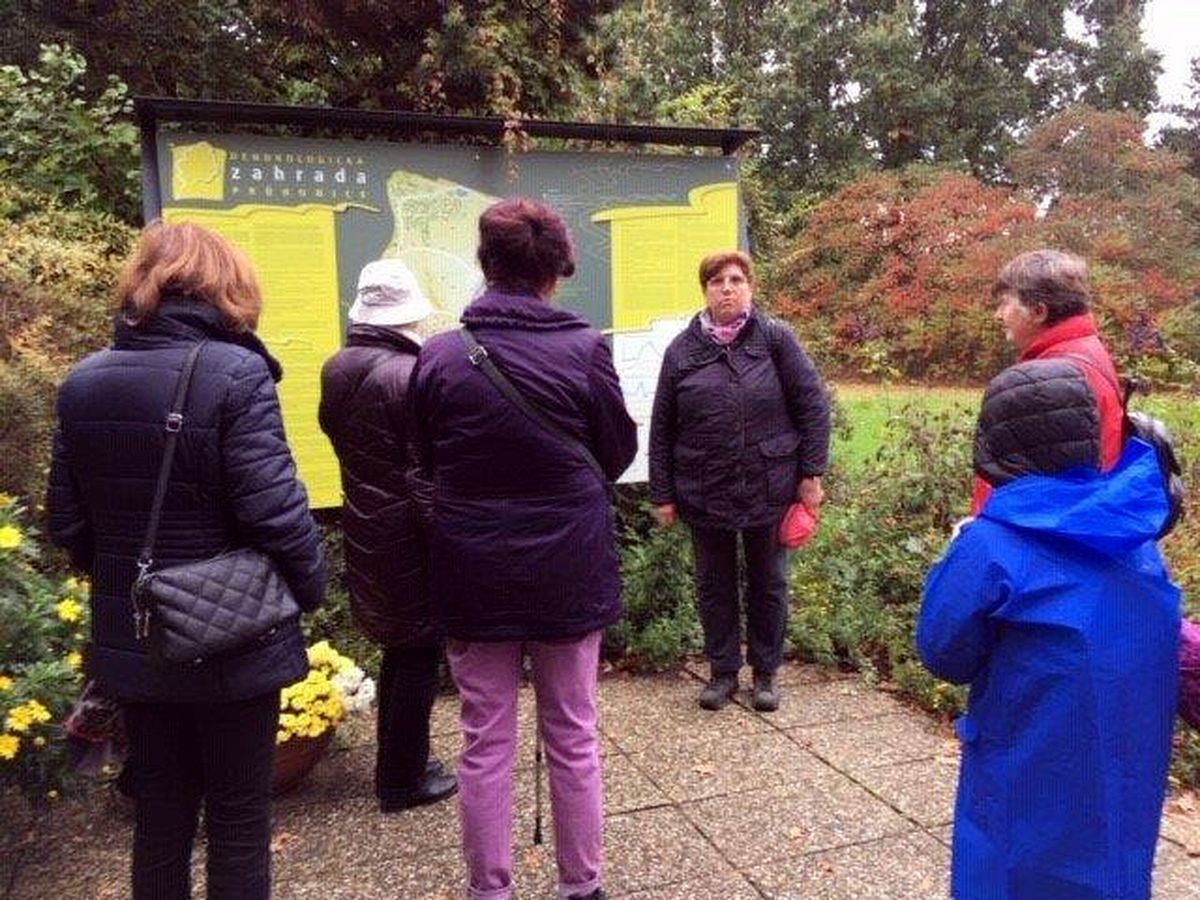 Do Průhonic za ovocnými stromy  023.jpg