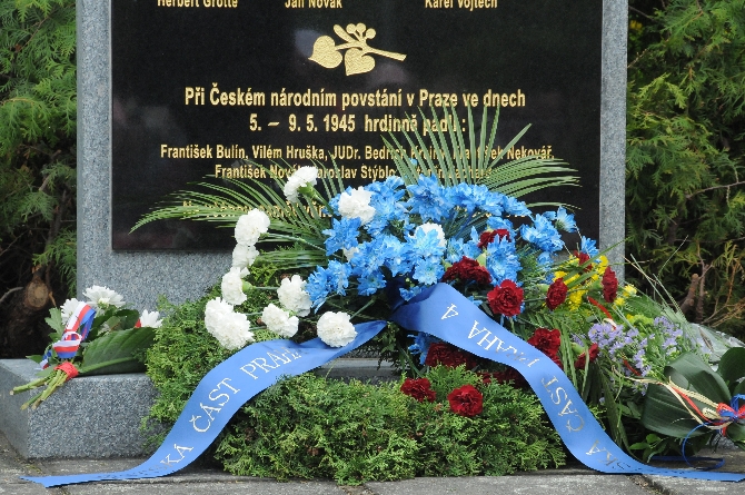 PET_2661.jpg
