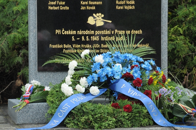 PET_2662.jpg