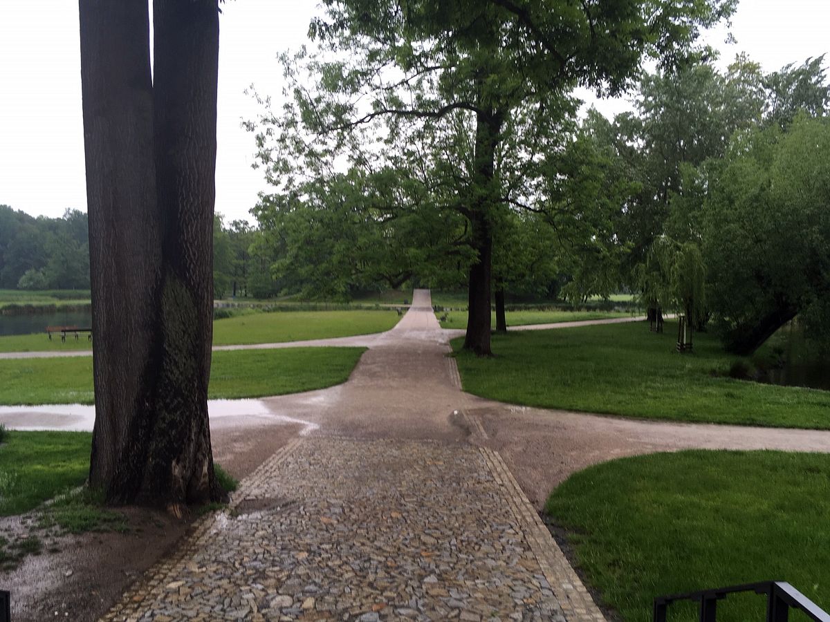 Procházka v Královské oboře  008.jpg