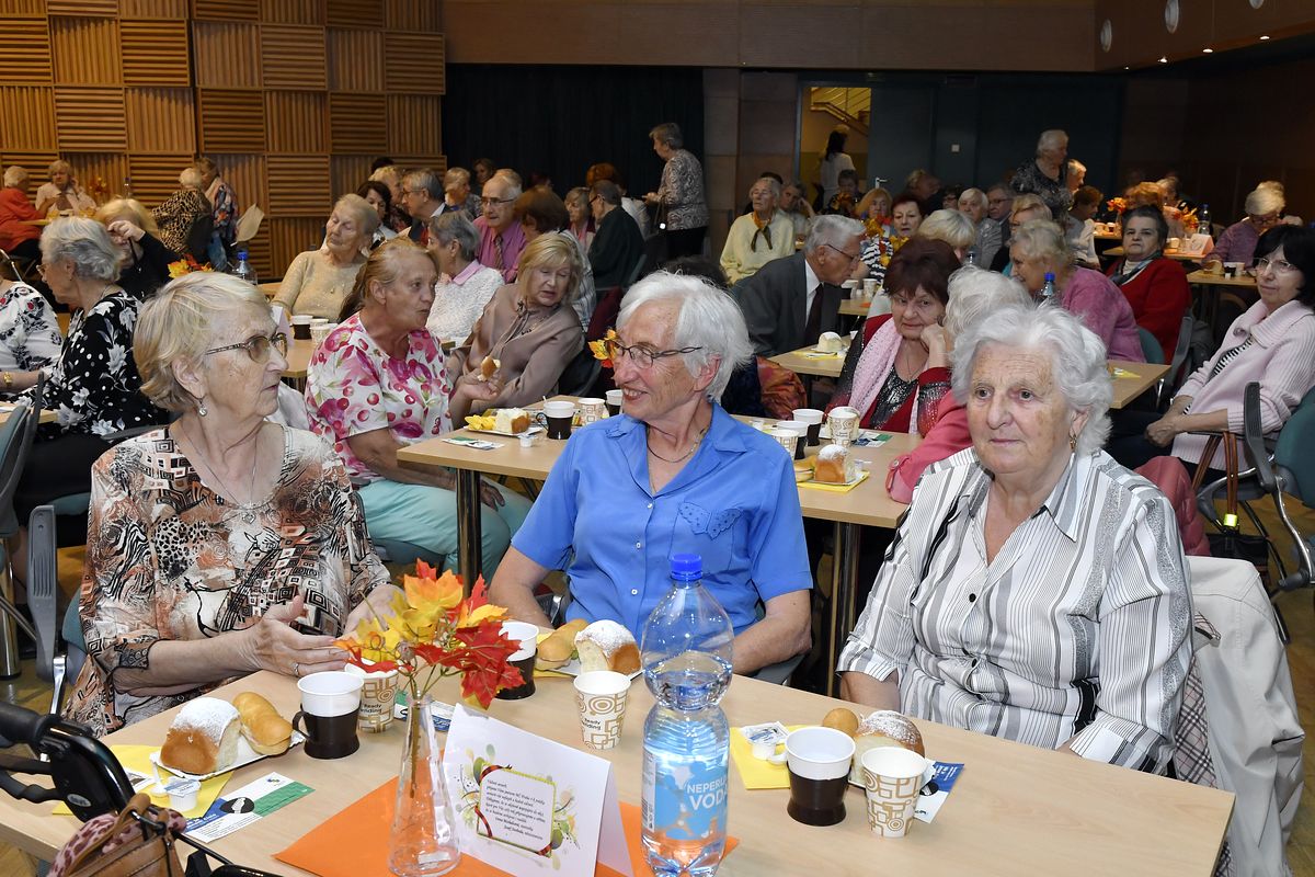 Věk je jenom číslo - oslava Mezinárodního dne seniorů 2019  011.JPG