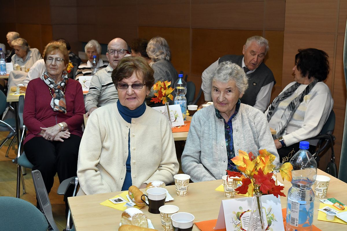 Věk je jenom číslo - oslava Mezinárodního dne seniorů 2019  012.JPG