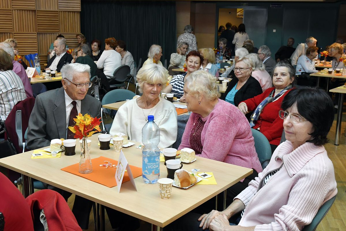 Věk je jenom číslo - oslava Mezinárodního dne seniorů 2019  013.JPG