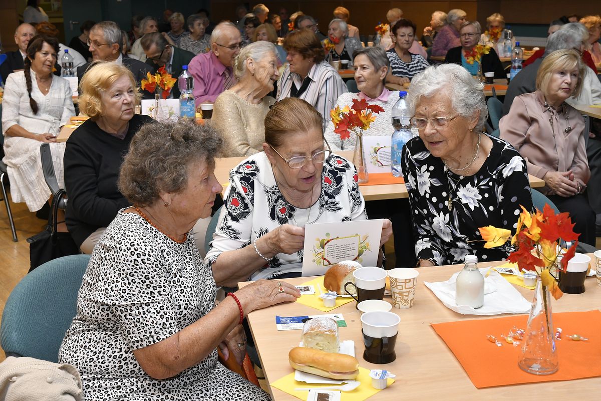 Věk je jenom číslo - oslava Mezinárodního dne seniorů 2019  014.JPG