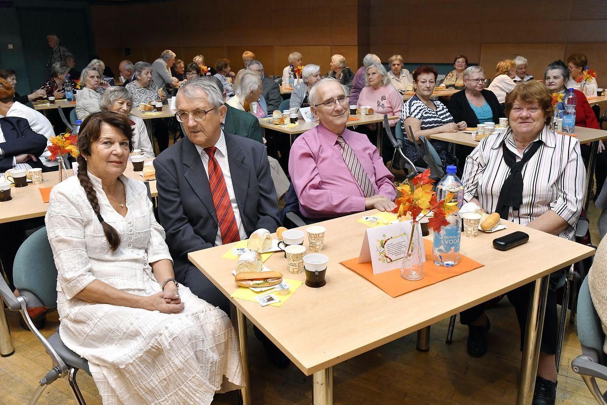 Věk je jenom číslo - oslava Mezinárodního dne seniorů 2019  016.JPG