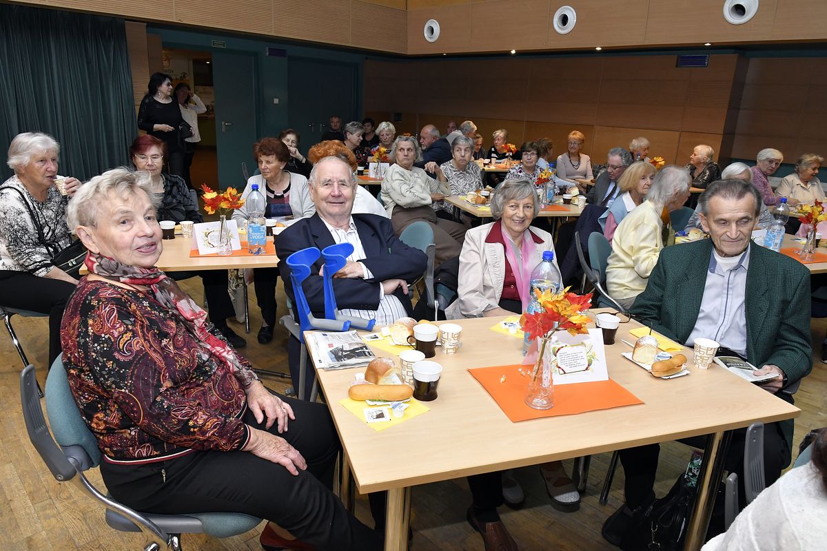 Věk je jenom číslo - oslava Mezinárodního dne seniorů 2019  017.JPG