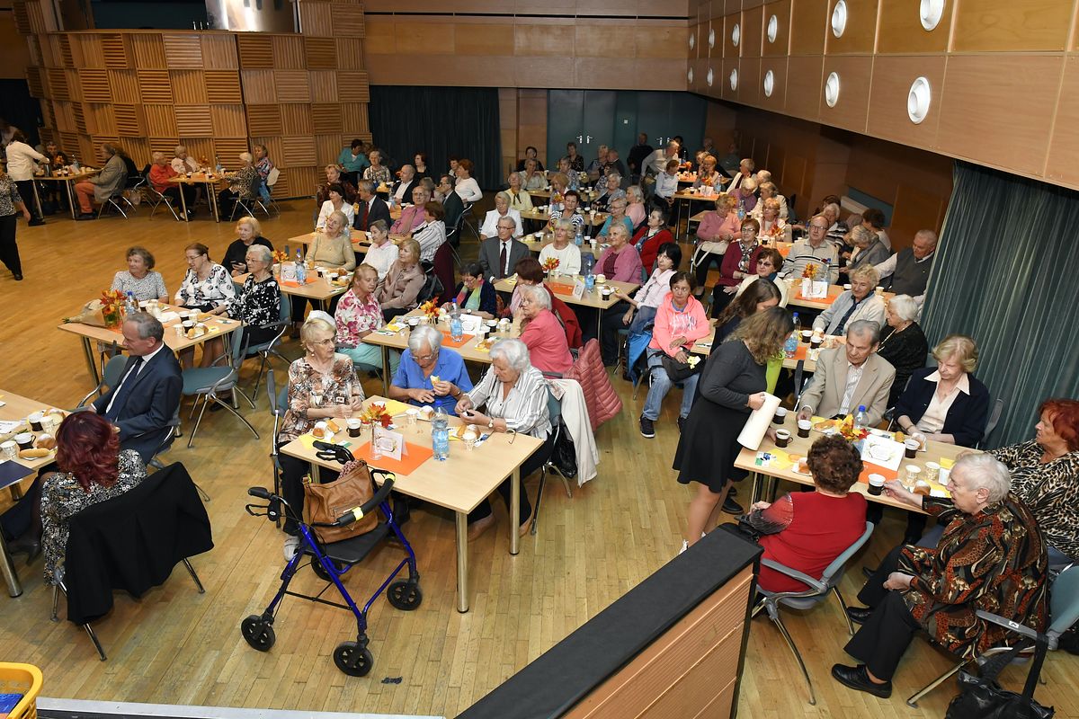 Věk je jenom číslo - oslava Mezinárodního dne seniorů 2019  029.JPG