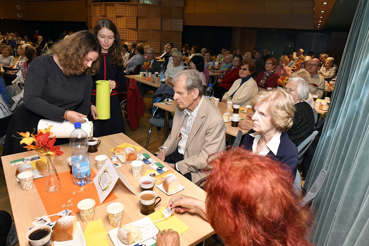 Věk je jenom číslo - oslava Mezinárodního dne seniorů 2019  030.JPG