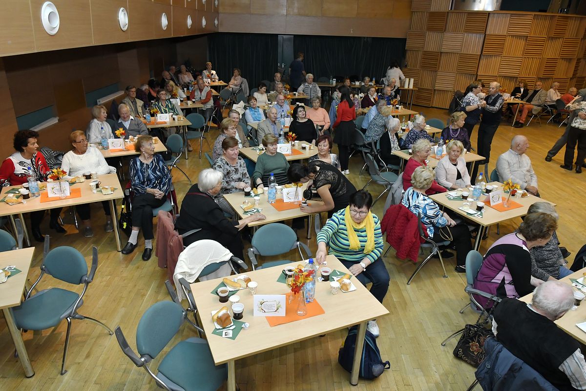 Věk je jenom číslo - oslava Mezinárodního dne seniorů 2019  036.JPG