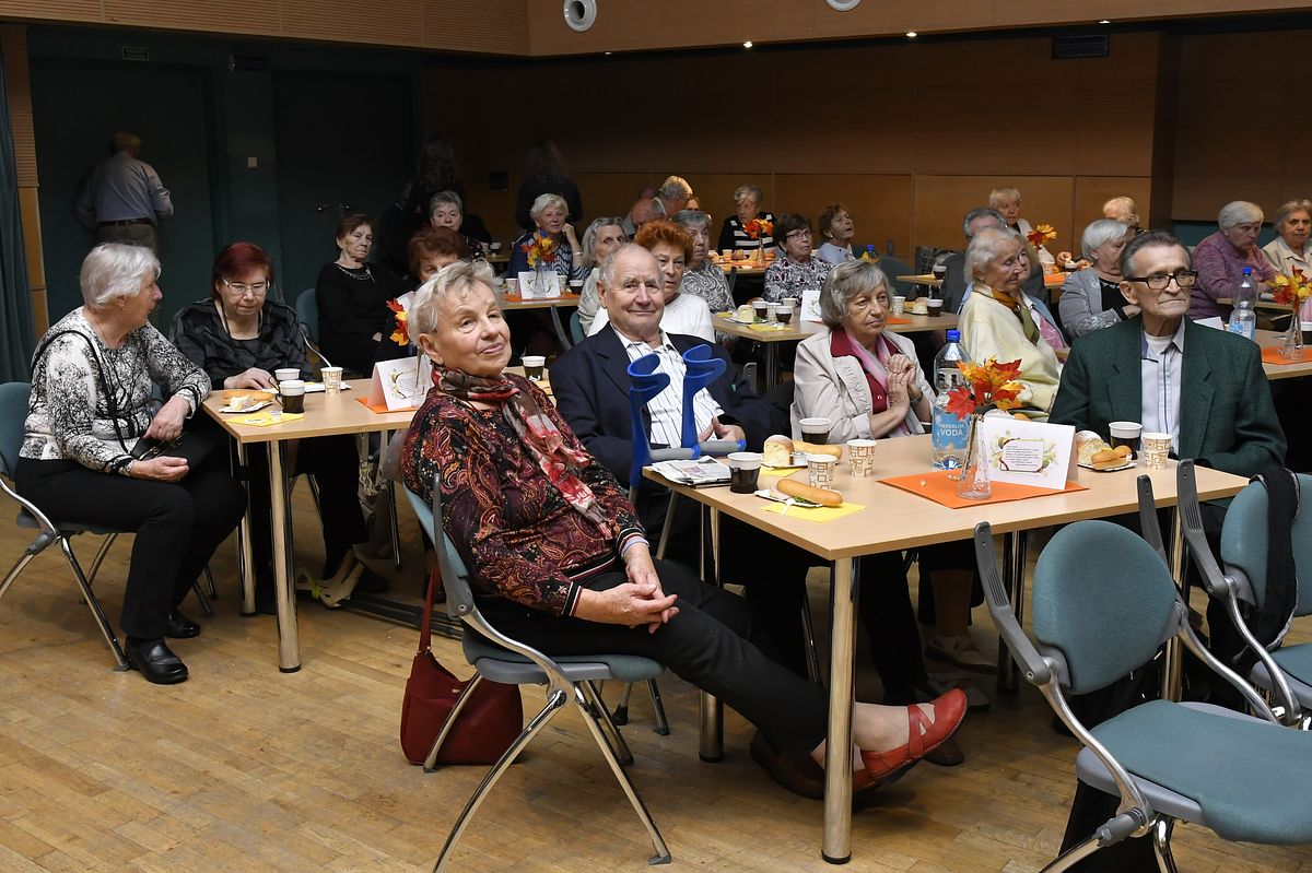 Věk je jenom číslo - oslava Mezinárodního dne seniorů 2019  041.JPG