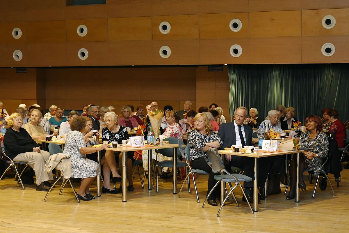 Věk je jenom číslo - oslava Mezinárodního dne seniorů 2019  047.JPG