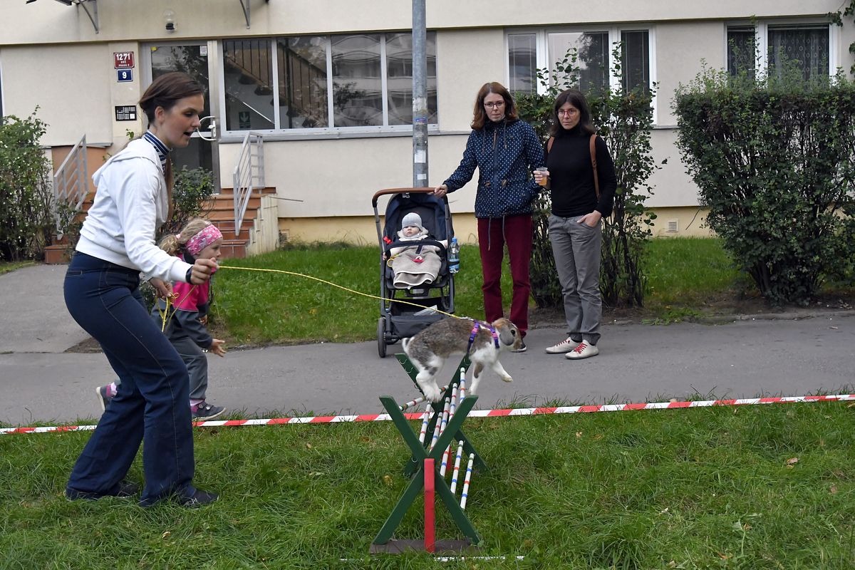 ZMJ 2019 – Modrý pavilon  001.JPG