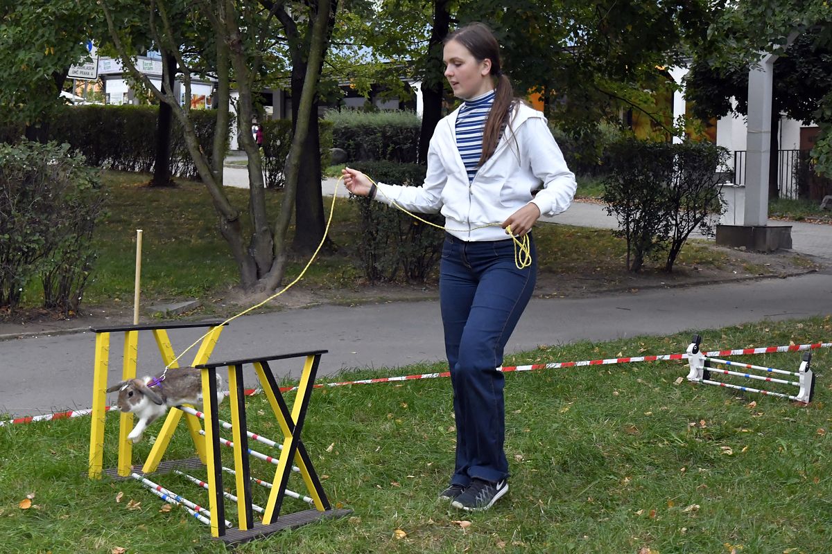 ZMJ 2019 – Modrý pavilon  003.JPG