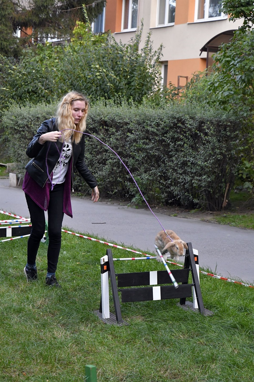 ZMJ 2019 – Modrý pavilon  004.JPG