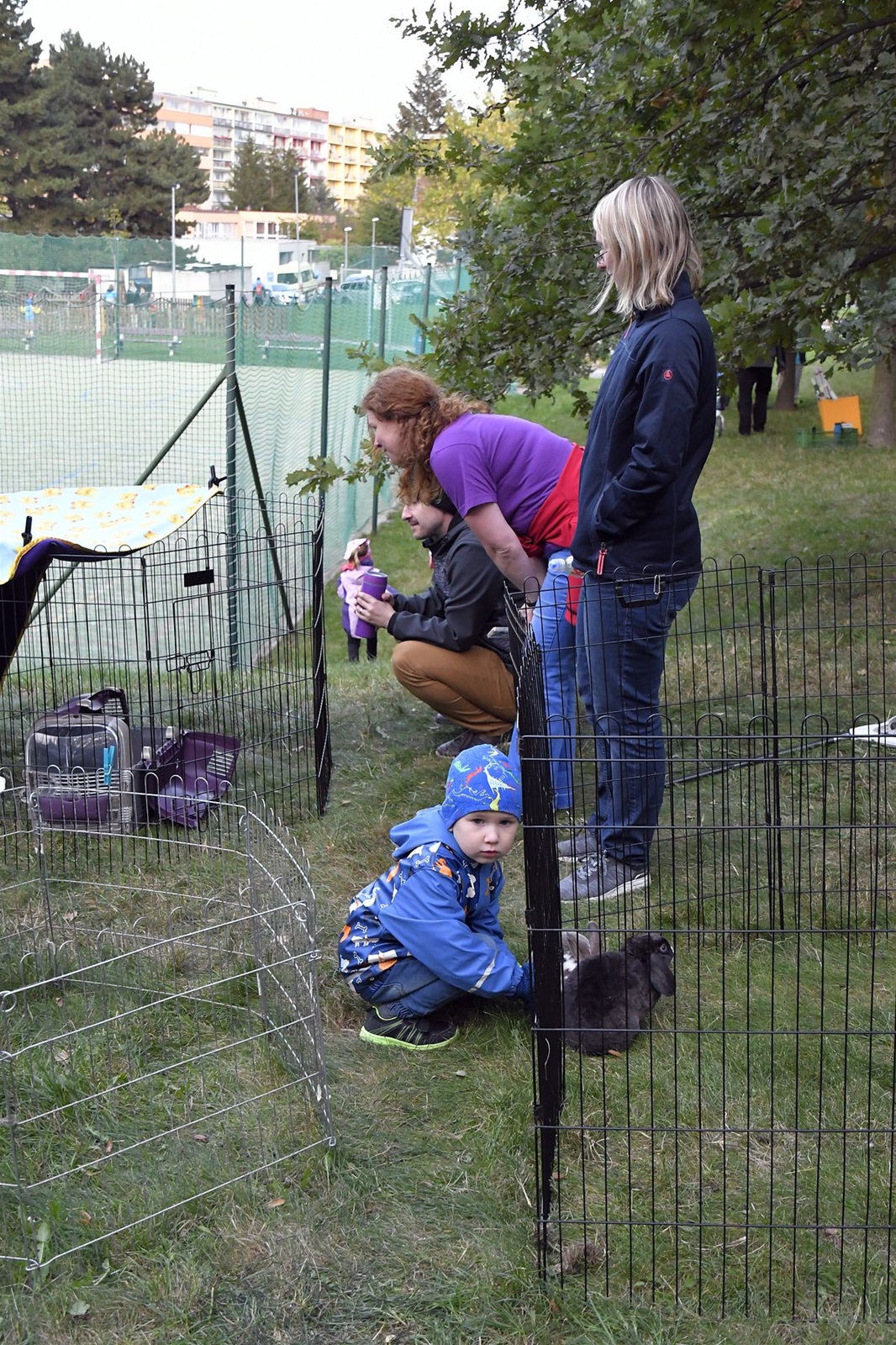 ZMJ 2019 – Modrý pavilon  006.JPG