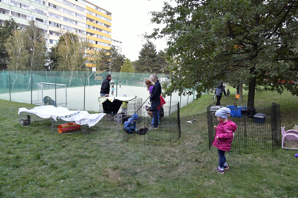 ZMJ 2019 – Modrý pavilon  007.JPG