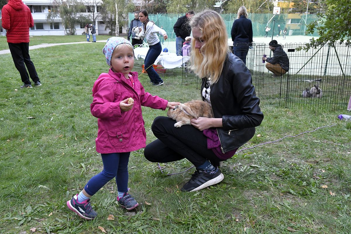 ZMJ 2019 – Modrý pavilon  008.JPG