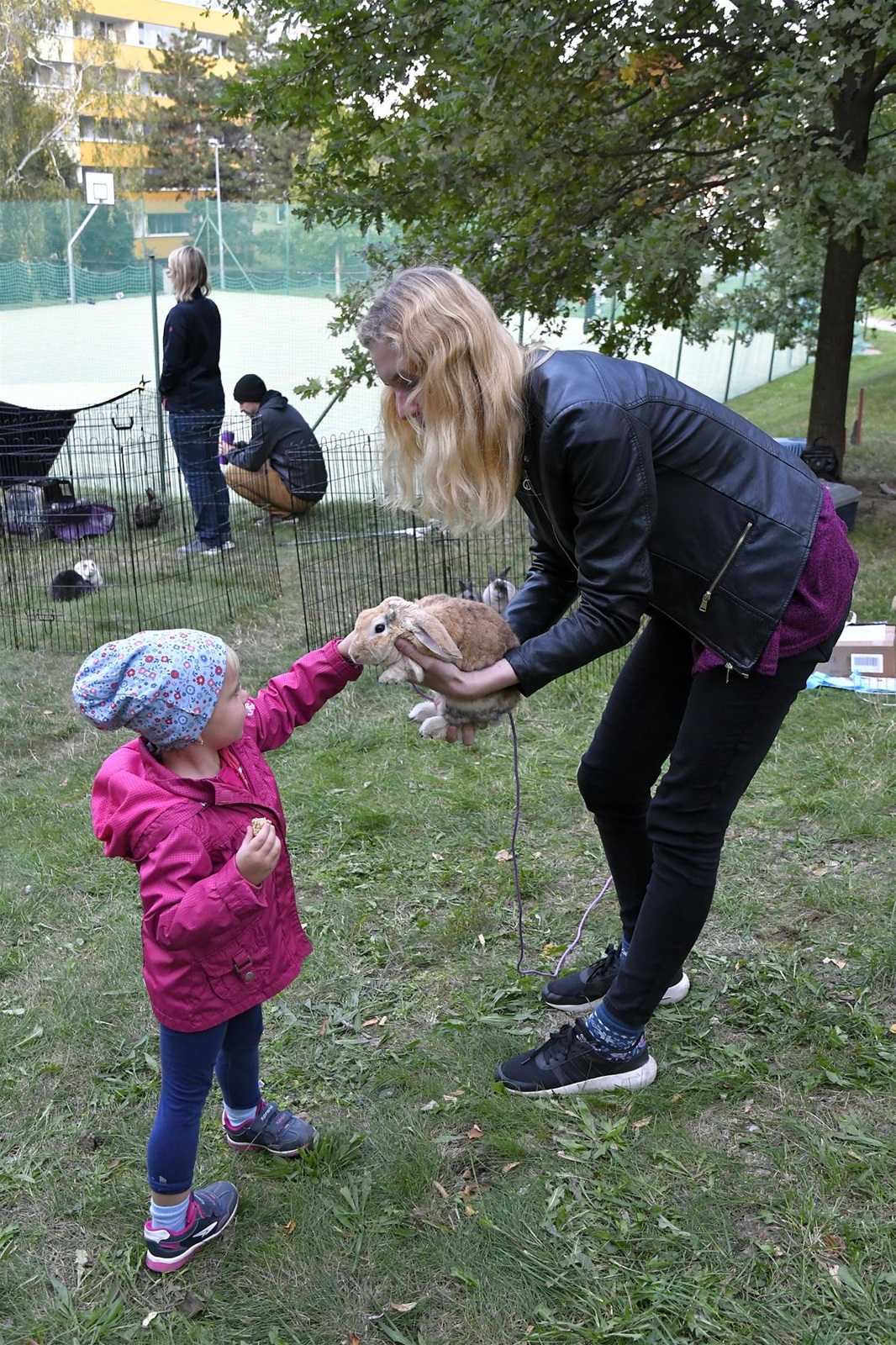 ZMJ 2019 – Modrý pavilon  009.JPG