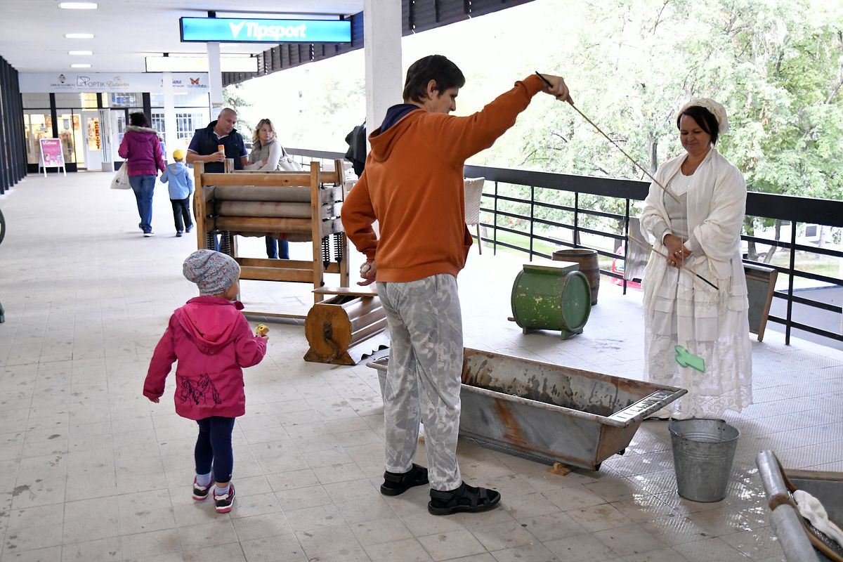 ZMJ 2019 – Modrý pavilon  015.JPG