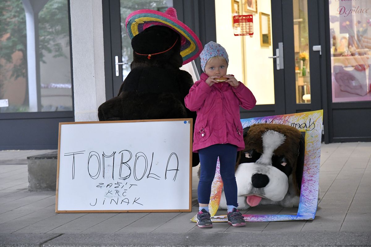 ZMJ 2019 – Modrý pavilon  020.JPG