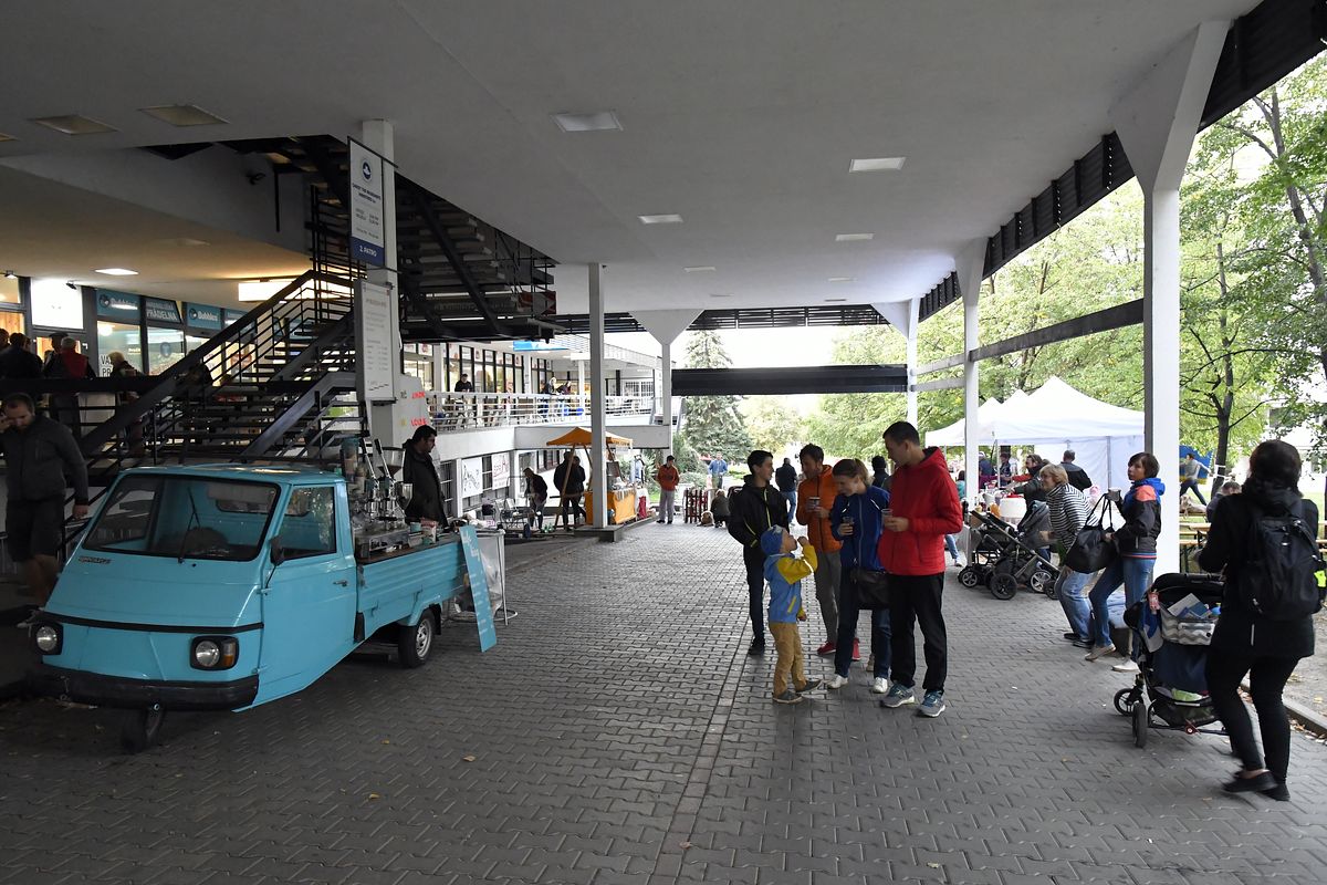 ZMJ 2019 – Modrý pavilon  021.JPG