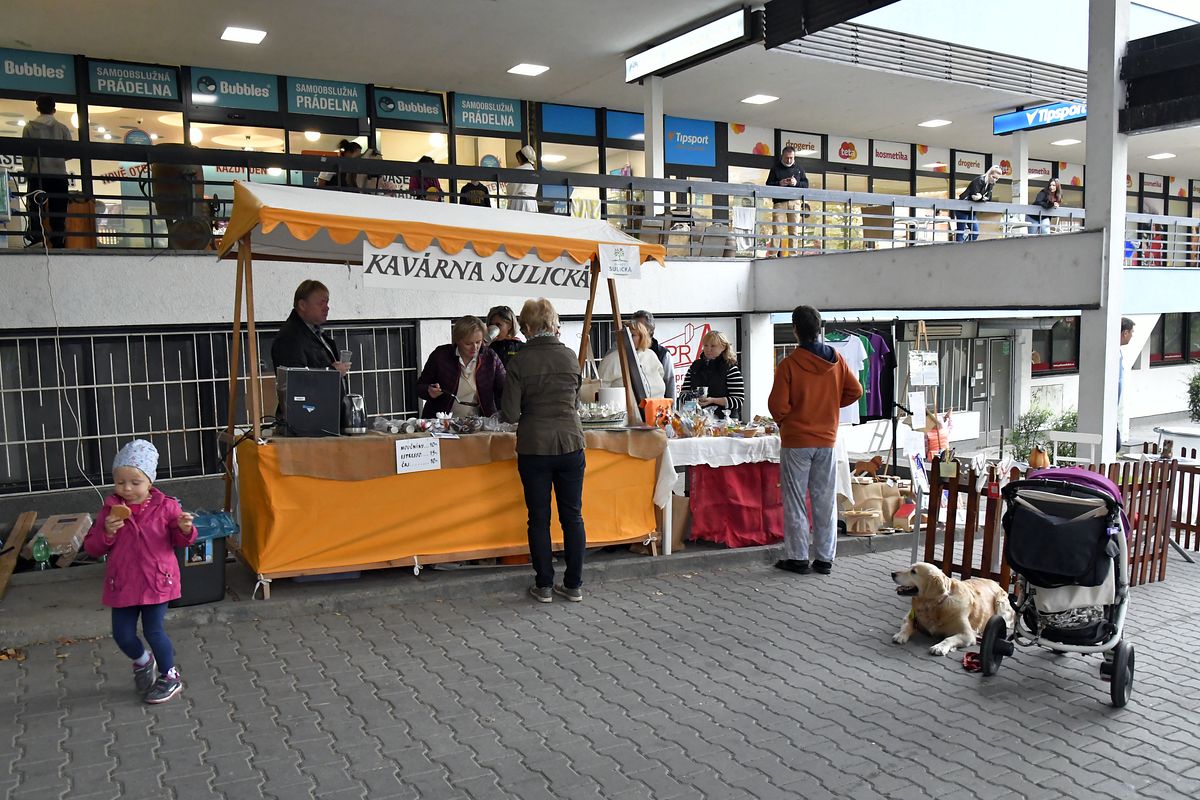 ZMJ 2019 – Modrý pavilon  023.JPG