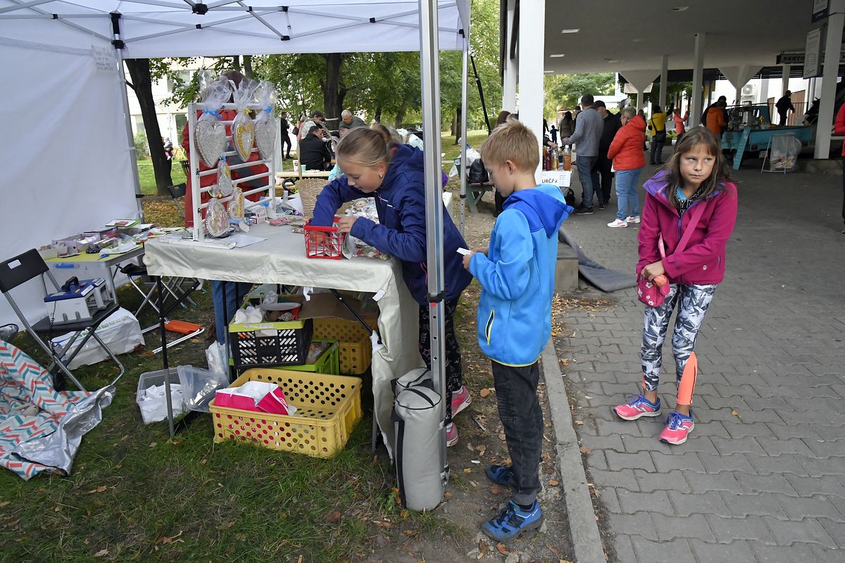 ZMJ 2019 – Modrý pavilon  025.JPG